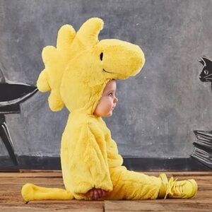Pottery Barn Baby Woodstock Costume